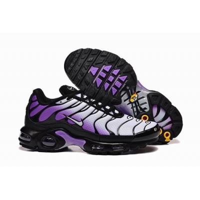 china cheap Nike Air Max TN Plus shoes free shipping