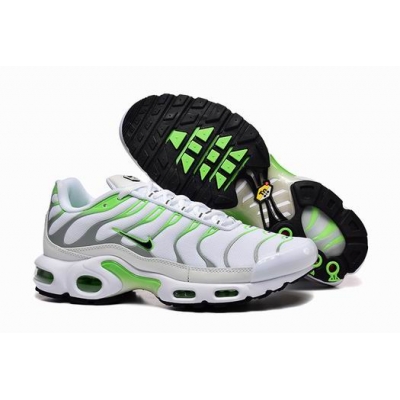china cheap Nike Air Max TN Plus shoes free shipping