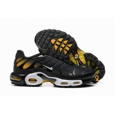 china cheap Nike Air Max TN Plus shoes free shipping
