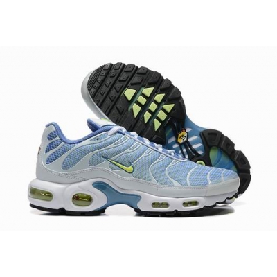 china cheap Nike Air Max TN Plus shoes free shipping