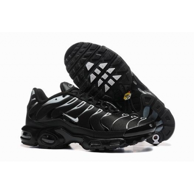 china cheap Nike Air Max TN Plus shoes free shipping