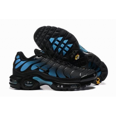 china cheap Nike Air Max TN Plus shoes free shipping