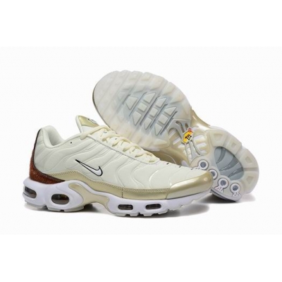 china cheap Nike Air Max TN Plus shoes free shipping