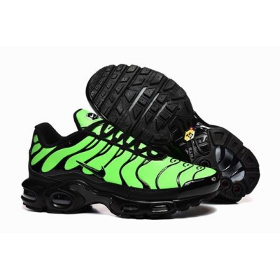 china cheap Nike Air Max TN Plus shoes free shipping
