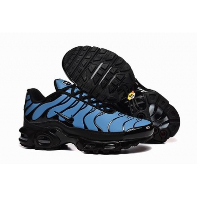 china cheap Nike Air Max TN Plus shoes free shipping