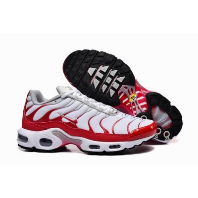 china cheap Nike Air Max TN Plus shoes free shipping