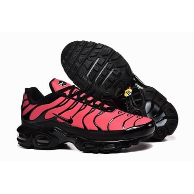 china cheap Nike Air Max TN Plus shoes free shipping